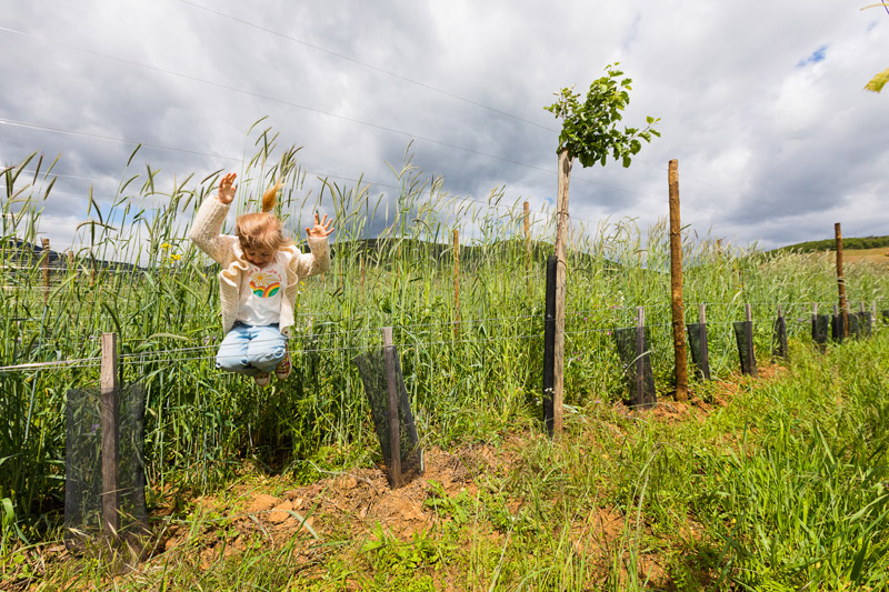 AGROFORESTERIE